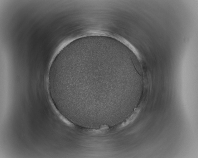 X0000115621381200911171307