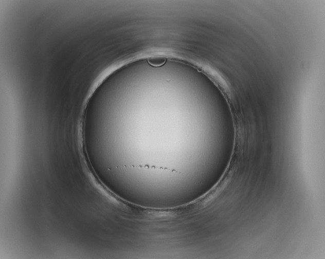 X0000115621382200911171307