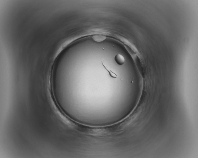 X0000115621383200911171307