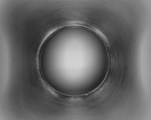 X0000115621384200911171307