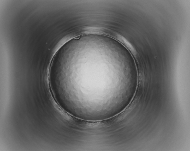 X0000115621386200911171307