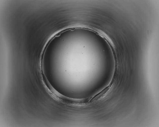 X0000115621388200911171307