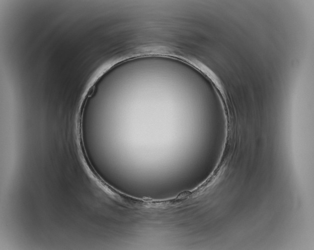 X0000115621389200911171307