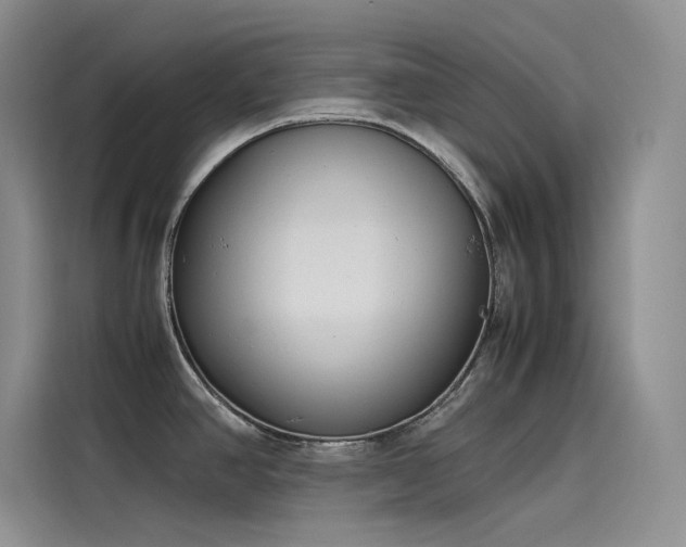 X0000115621390200911171307