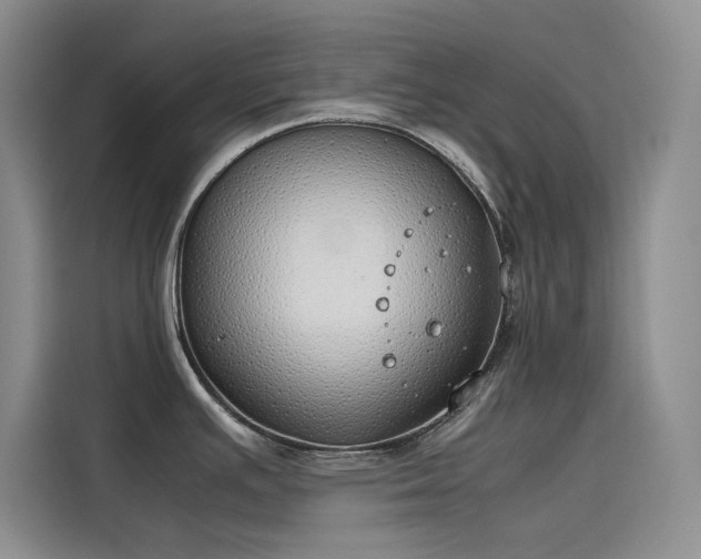 X0000115621391200911171307