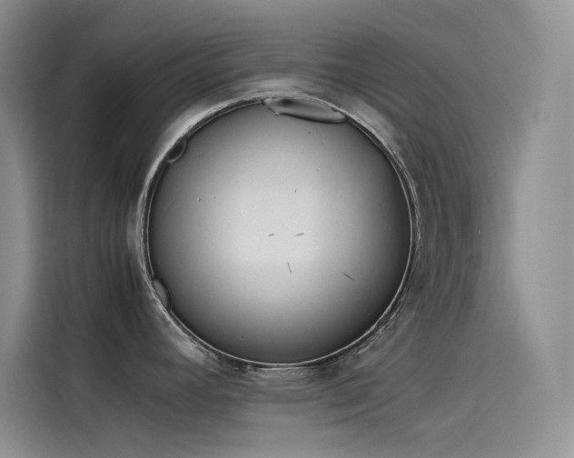 X0000115621392200911171307