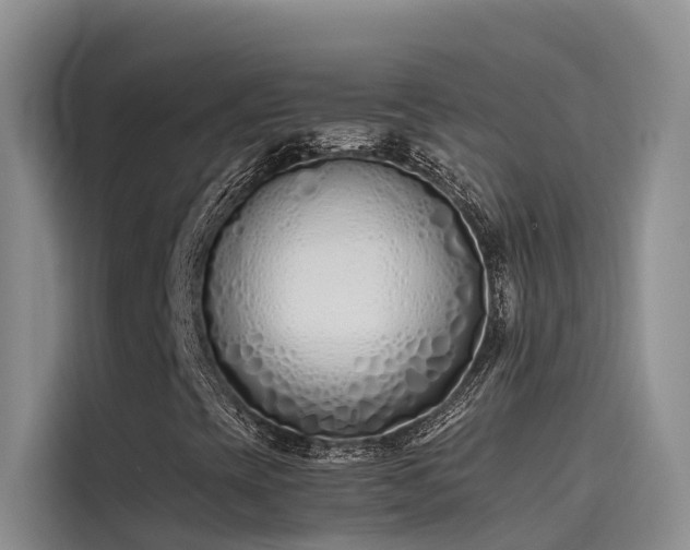 X0000115621393200911171306