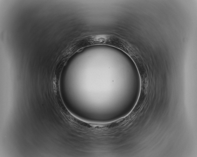 X0000115621394200911171306