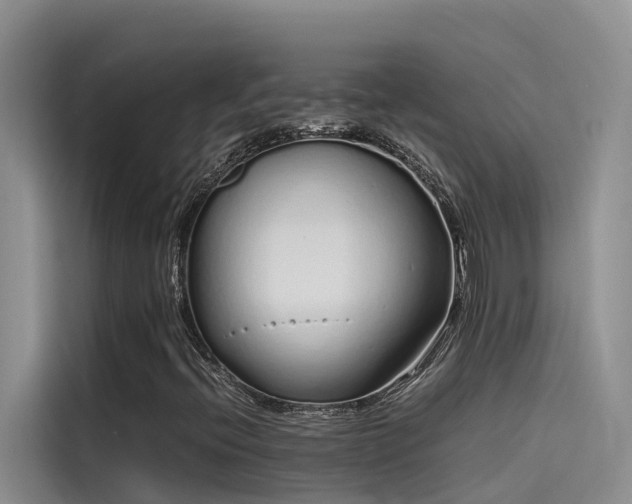 X0000115621396200911171306