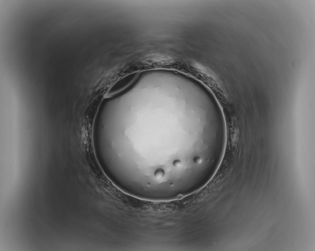 X0000115621397200911171306