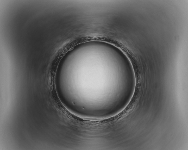 X0000115621398200911171306