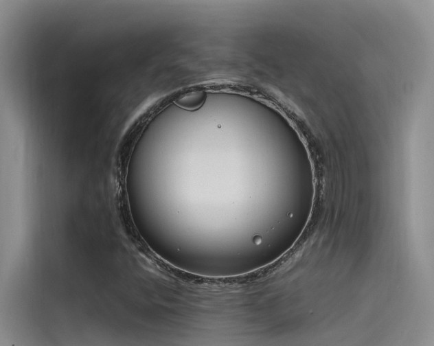 X0000115621400200911171306