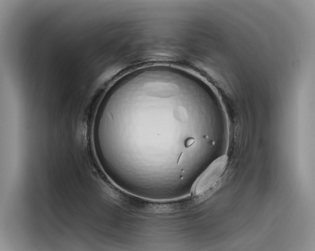 X0000115621402200911171306