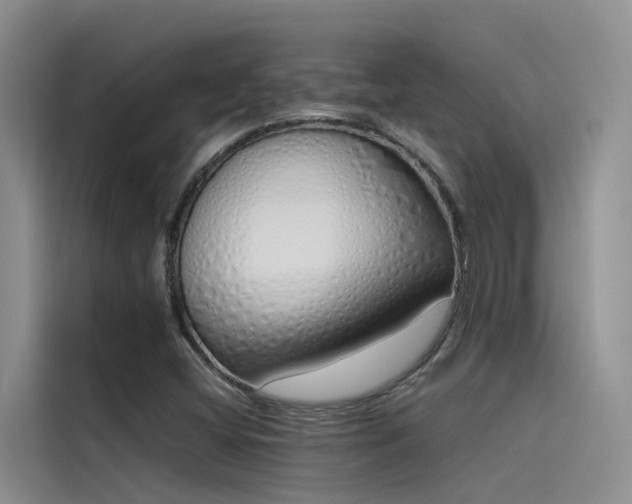 X0000115621404200911171306