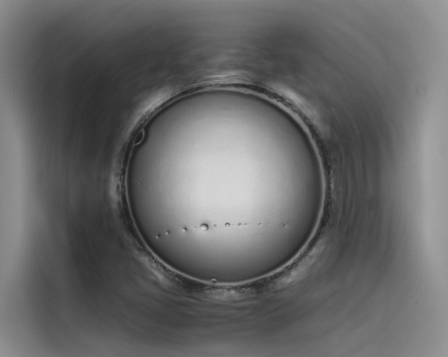 X0000115621405200911171306