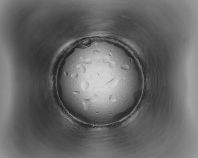 X0000115621406200911171306