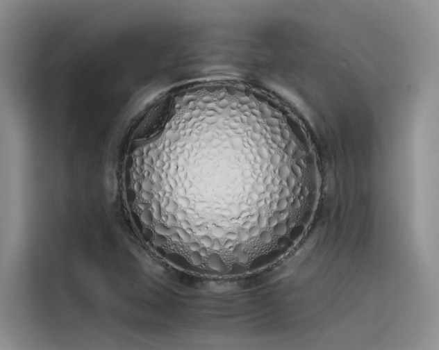 X0000115621407200911171306