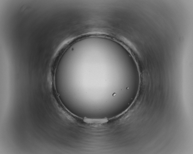 X0000115621408200911171306