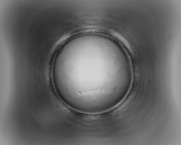 X0000115621411200911171307