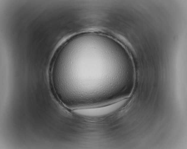 X0000115621412200911171307