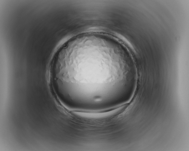 X0000115621413200911171307