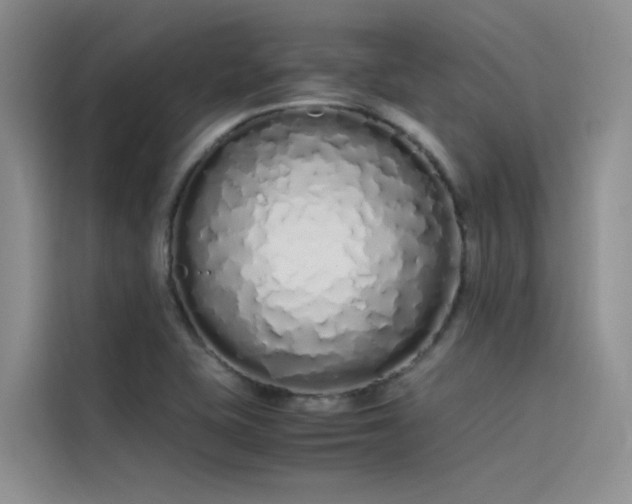 X0000115621415200911171307