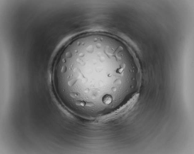 X0000115621416200911171307