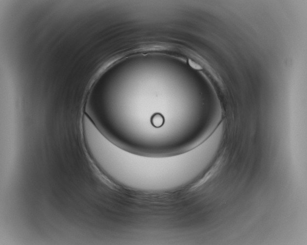 X0000115621417200911171307