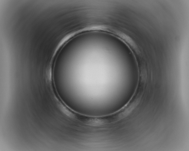 X0000115621420200911171307