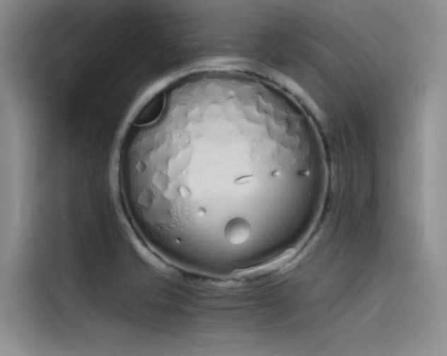 X0000115621421200911171307