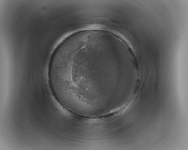 X0000115621422200911171307