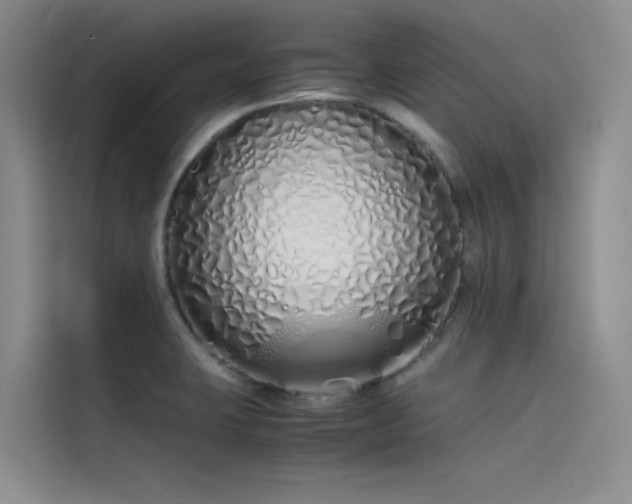 X0000115621423200911171307