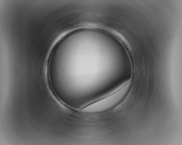 X0000115621424200911171307