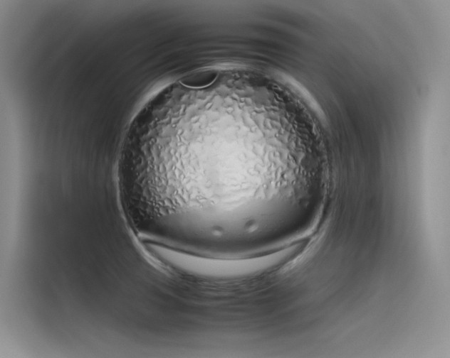 X0000115621425200911171307