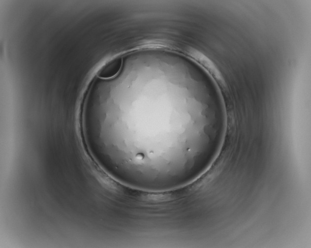 X0000115621427200911171307