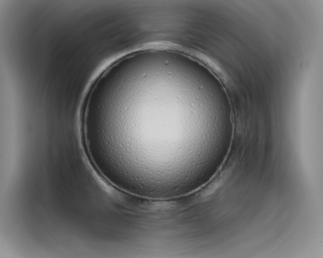 X0000115621430200911171307