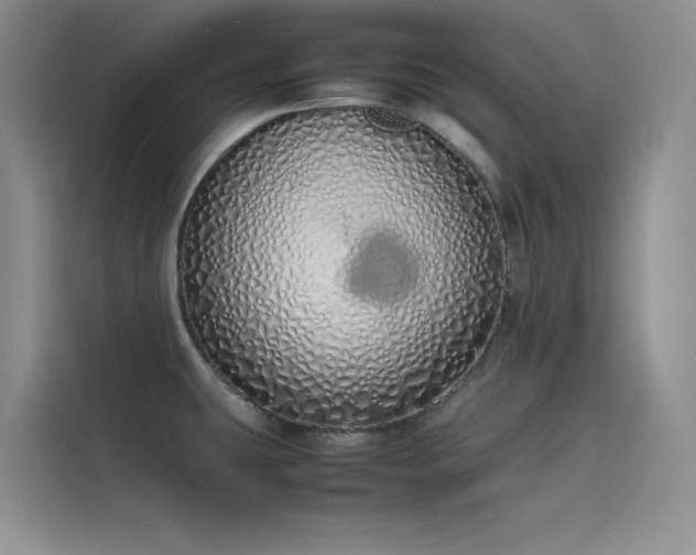 X0000115621431200911171307