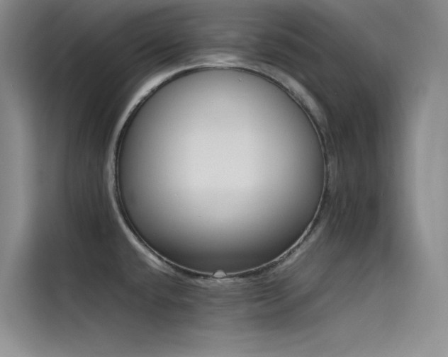 X0000115621432200911171307