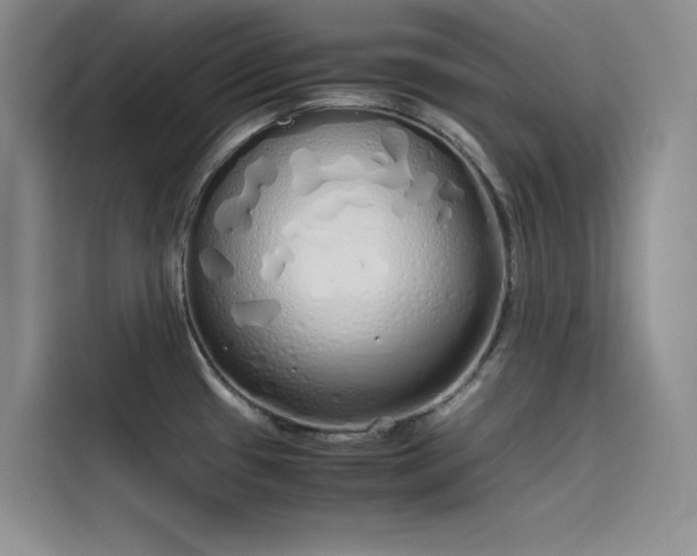 X0000115621433200911171307