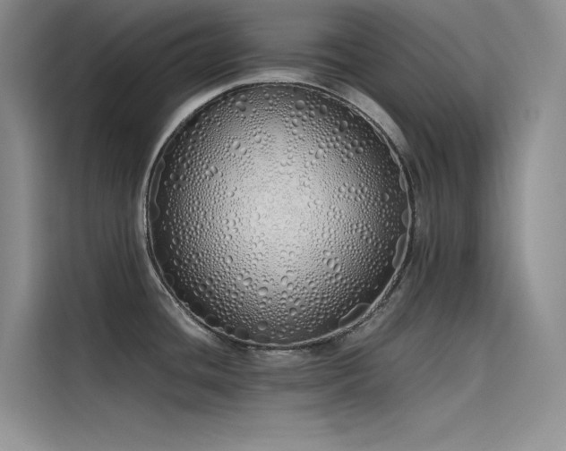 X0000115621436200911171307