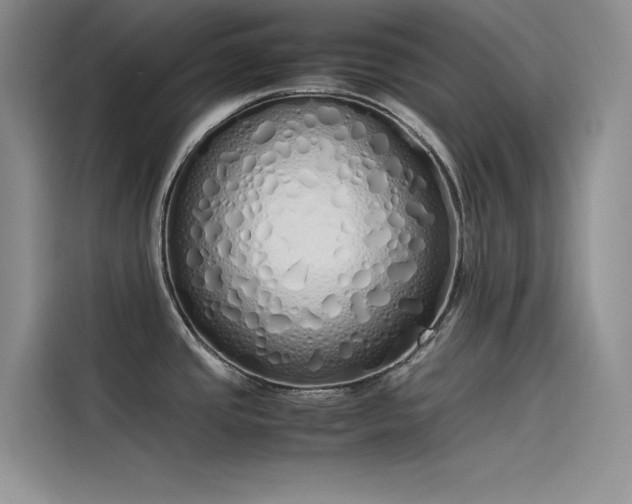 X0000115621437200911171307