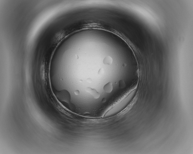 X0000115621438200911171307