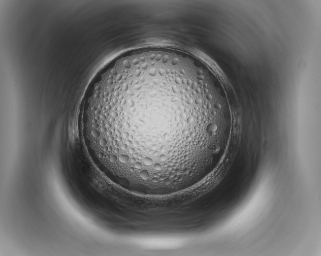 X0000115621439200911171307