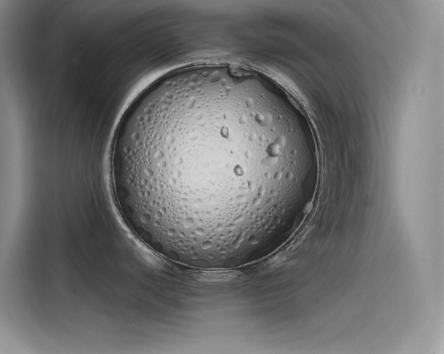 X0000115621440200911171307