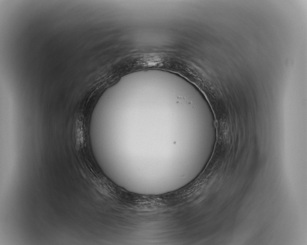 X0000115621442200911171306