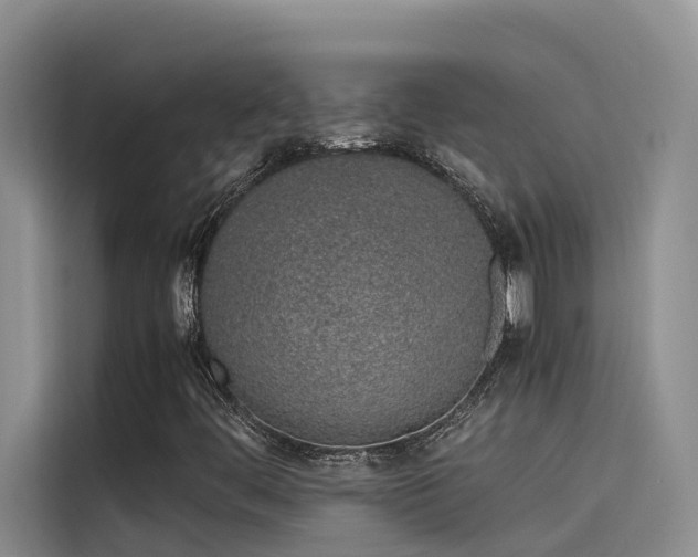 X0000115621444200911171306