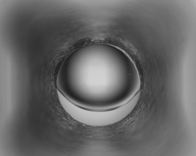 X0000115621445200911171306