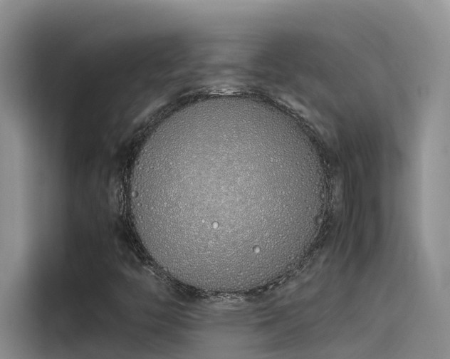 X0000115621446200911171306