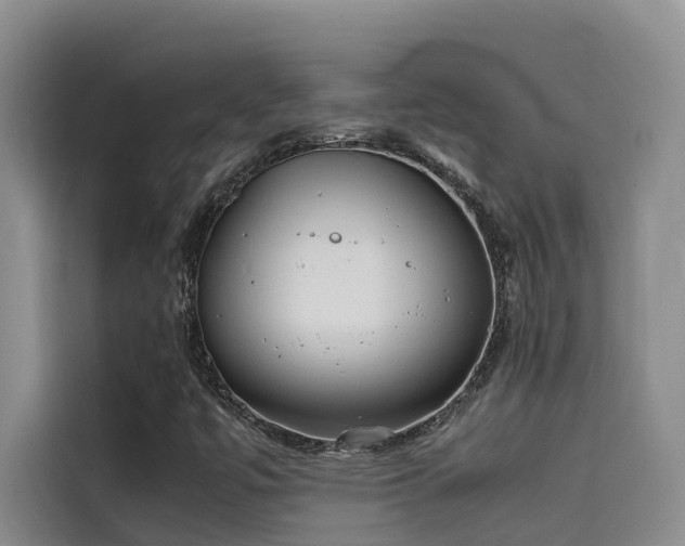 X0000115621447200911171306