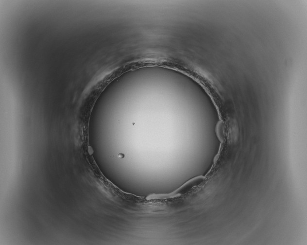 X0000115621448200911171306